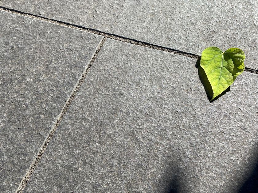 Terrasplaat basalt Takeda van boven met bladdecoratie